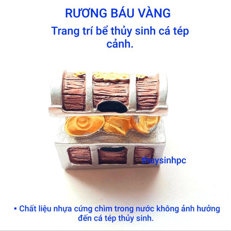 Mô hình rương kho báu trang trí bể thủy sinh terrarium