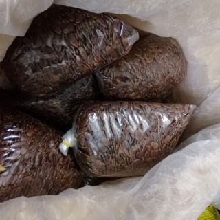 Hạt dưa tết (hạt trung) 500gram