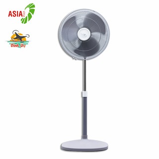 Quạt cây đứng Asia cao cấp D16027 - Xám