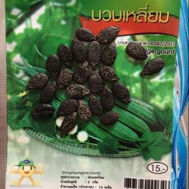 Mướp khía thái lan