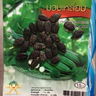 Mướp khía thái lan