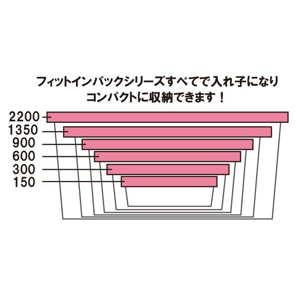 Set 2 hộp nhựa đựng thực phẩm nắp dẻo 600ml Made in Japan | BigBuy360 - bigbuy360.vn