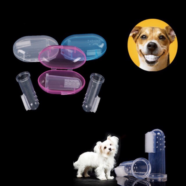 Bàn chải đánh răng cho thú cưng bằng silicon mềm