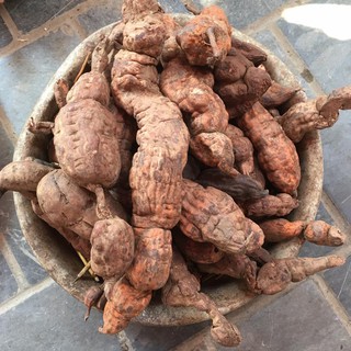 Bột Hà Thủ Ô Đỏ 100g