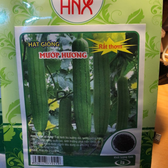 Hạt giống Mướp Hương rất thơm (2gr)