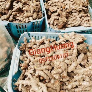TINH BỘT NGHỆ 500gr