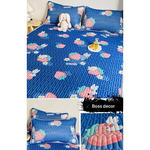 Chiếu Điều Hòa Tencel Latex Cao Su Non in 5D siêu mát Boss Decor có tặng kèm 2 vỏ gối