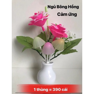 Đèn ngủ cảm biến đổi màu