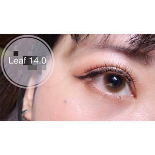 Lens Leaf brown vassen