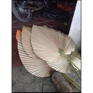 lá cọ khô decor