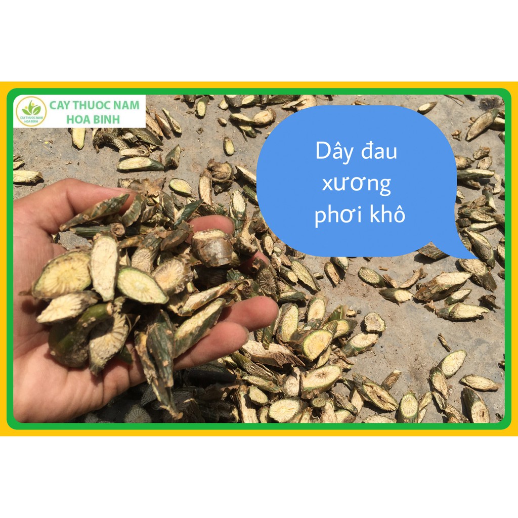 500g dây đau xương khô, sạch, mới