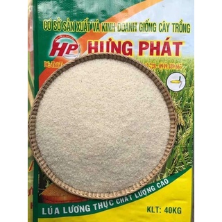 Gạo ST25, mùa 11/20, dẻo mềm thơm, không chất bảo quản - 5kg