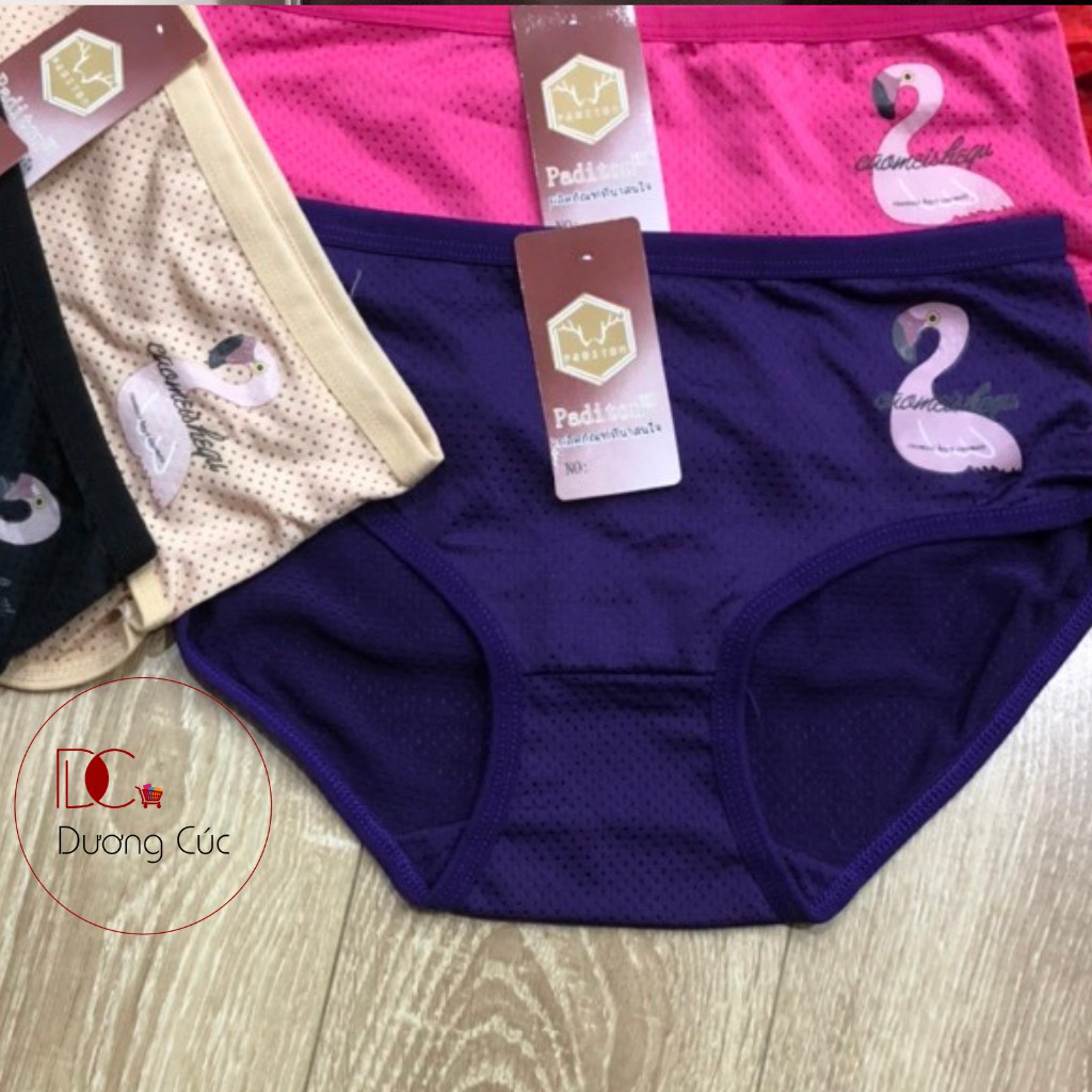 Quần Lót Nữ Thông Hơi Kháng Khuẩn Thái Lan | BigBuy360 - bigbuy360.vn