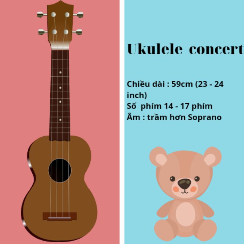 Ukulele Concert gỗ