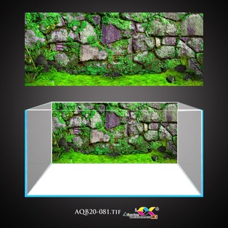 Tranh 3D dán bể cá ( kt 50-60-70-80-90-100-120-150cm)