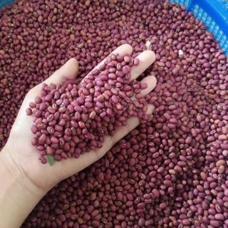 100g Bột đậu đỏ nguyên chất 100%