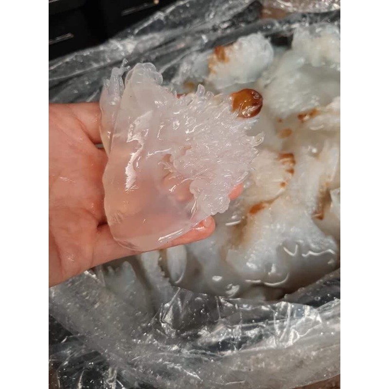 MỰC CÂU TO VIP LOẠI NGON NHẤT - ĐẶC SẢN HẠ LONG 500G, 1KG | BigBuy360 - bigbuy360.vn