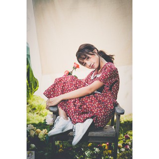 Váy Lavie & Rose (4 màu)