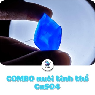 Combo CuSO4 thích hợp cho người mới chơi tinh thể