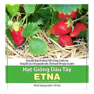 Hạt giống Dâu tây Etna