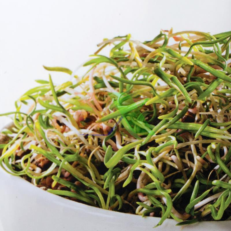 Bộ Khay trồng rau mầm thủy canh chuyên dụng 3 tầng - TKM-3.3