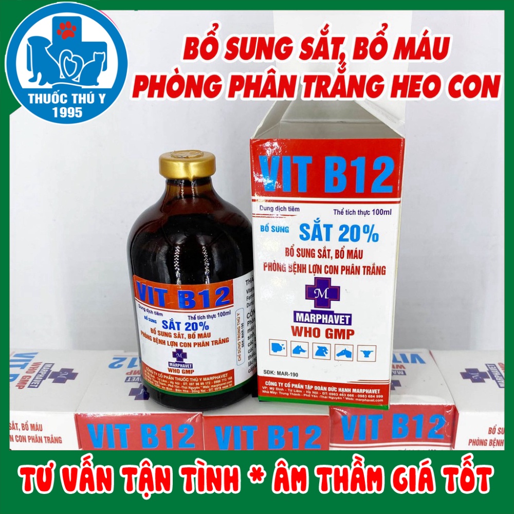 Hộp SẮT 20% VIT B12 100ml Phòng thiếu máu do thiếu sắt, nâng cao sức đề kháng ở vật nuôi, heo con, heo nái