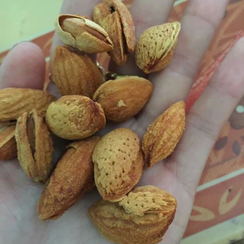 sỉ giá gốc hạt hạnh nhân 500g - 1kg