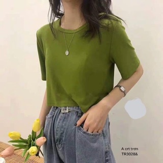 Áo crt trơn dáng thụng (TR)