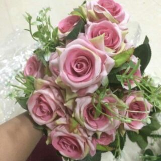Hồng tàu 12 bông