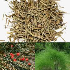 Ma hoàng sấy khô nguyên chất 100 gram.