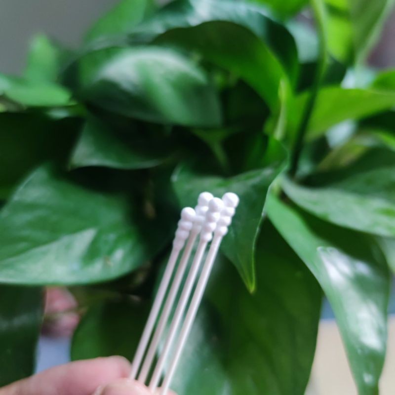 Tăm bông y tế trẻ em, người lớn GEMMI thân gỗ  đầu bông xoắn và nhọn, an toàn, thân thiện môi trường