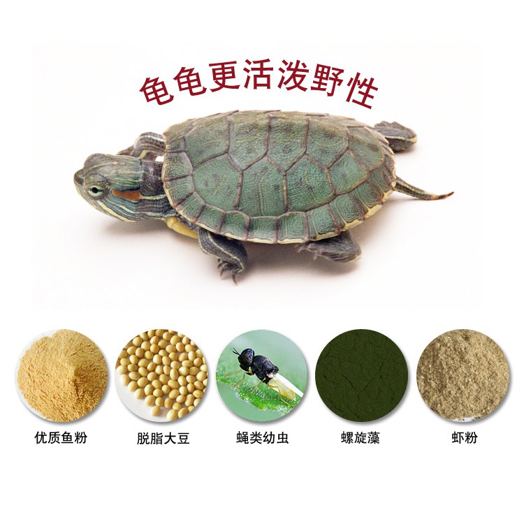 Thức Ăn Dinh Dưỡng Cho Rùa Inch Gold - Cám Cho Rùa, Baba