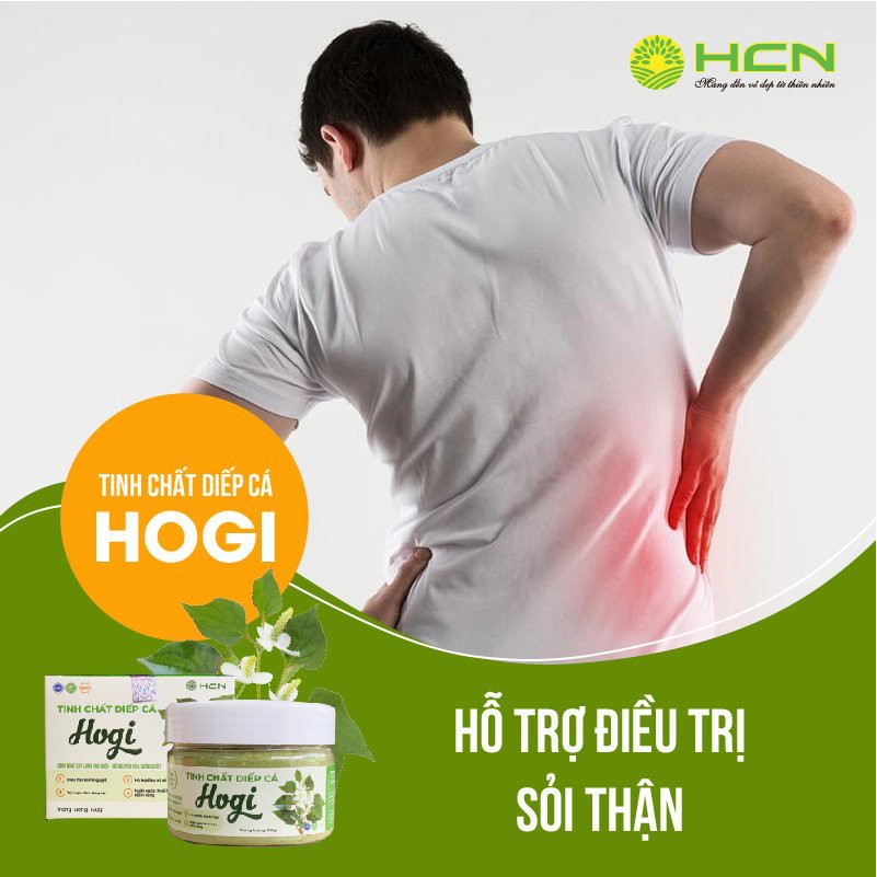 [CHẤT LƯỢNG SỐ 1] Tinh Chất Diếp Cá Hogi Hộp 150gr Giúp Da Trắng Hồng | BigBuy360 - bigbuy360.vn