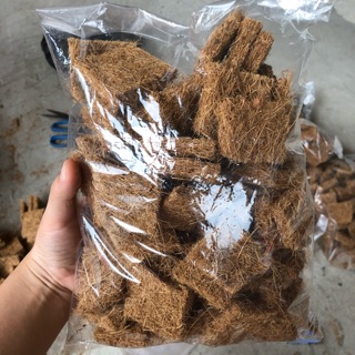 Xơ dừa miếng - Rải mặt chậu