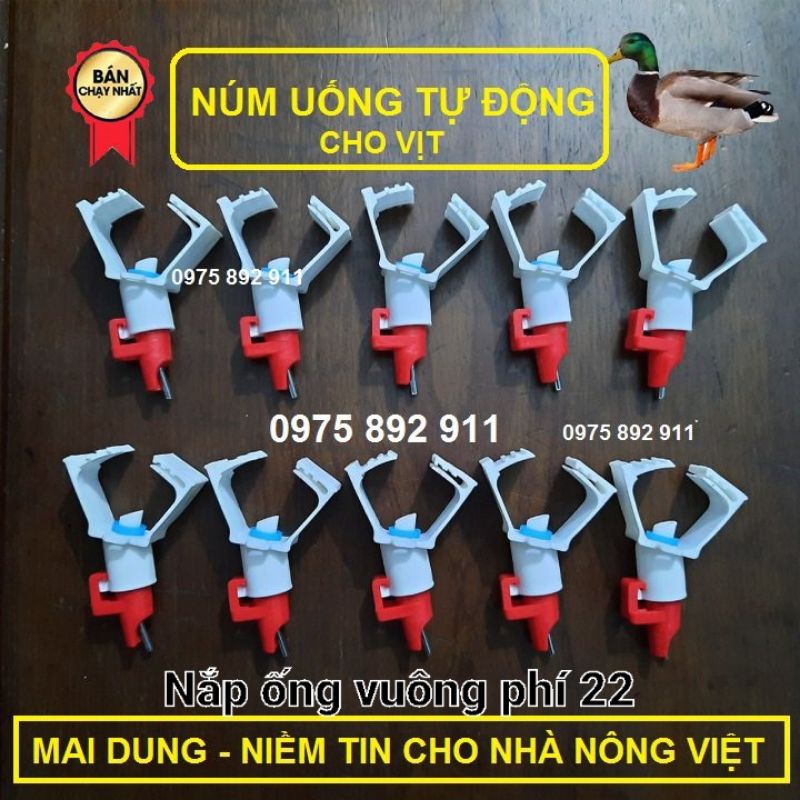 núm uống tự động cho vịt ngan ống vuông phí 22