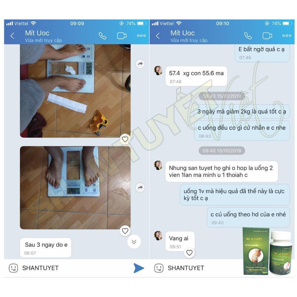 [GIẢM 15KG KHÔNG TĂNG LẠI] Shan Tuyết Việt - Nhà Thuốc Viện Dược Liệu Trung Ương | BigBuy360 - bigbuy360.vn