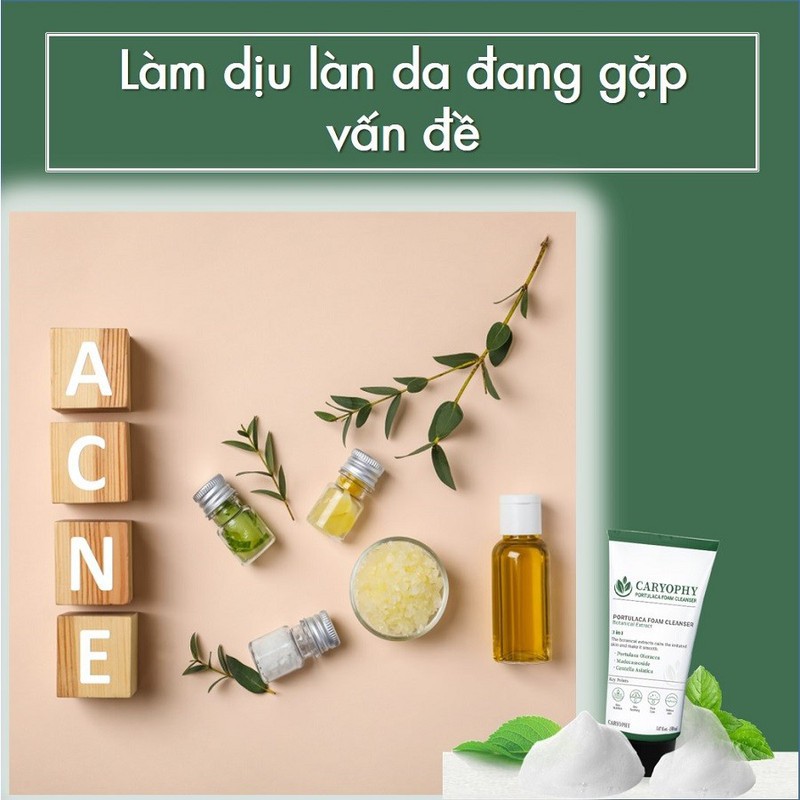 [Mã FMCGMALL -8% đơn 250K] Sữa rửa mặt giảm mụn Caryophy Portulaca Cleansing Foam 150ml | BigBuy360 - bigbuy360.vn