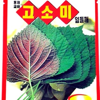 Hạt giống Lá mè Hàn Quốc