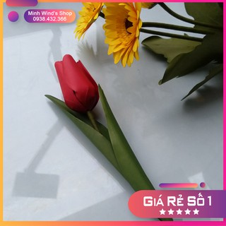 K68 - Khuôn Thép, Khuôn Kim Loại Cắt Hoa Tulip Dùng Kèm Máy Cắt Khuôn Thép