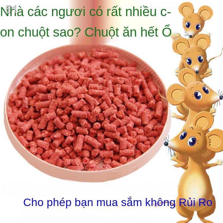 miếng dán chuột bảng siêu mạnh hiện vật bẫy dùng trong gia đình để bắt và các loài gặm nhấm với hiệu quả cao đặc