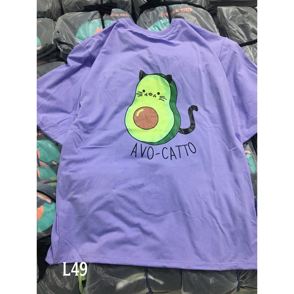Áo thun 𝑭𝒓𝒆𝒆𝒔𝒉𝒊𝒑 Áo phông form rộng dáng Unisex L49, mặc lớp, nhóm, cặp in hình QUẢ BƠ MÈO AVO CATTO.