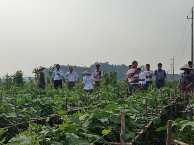 Phân bón lá hữu cơ cao cấp Big-Bio cho cây lúa rau màu cây cảnh chai 250ml dung dịch thuỷ canh