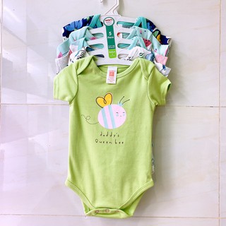 Body chip thái set 5 cái