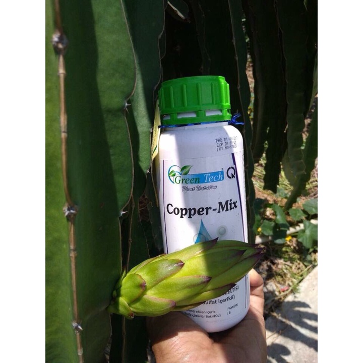 COPPER MIX - ĐẶC TRỊ NẤM HỒNG - CHÁY LÁ - THỐI RỄ  Nhập Khẩu Châu Âu