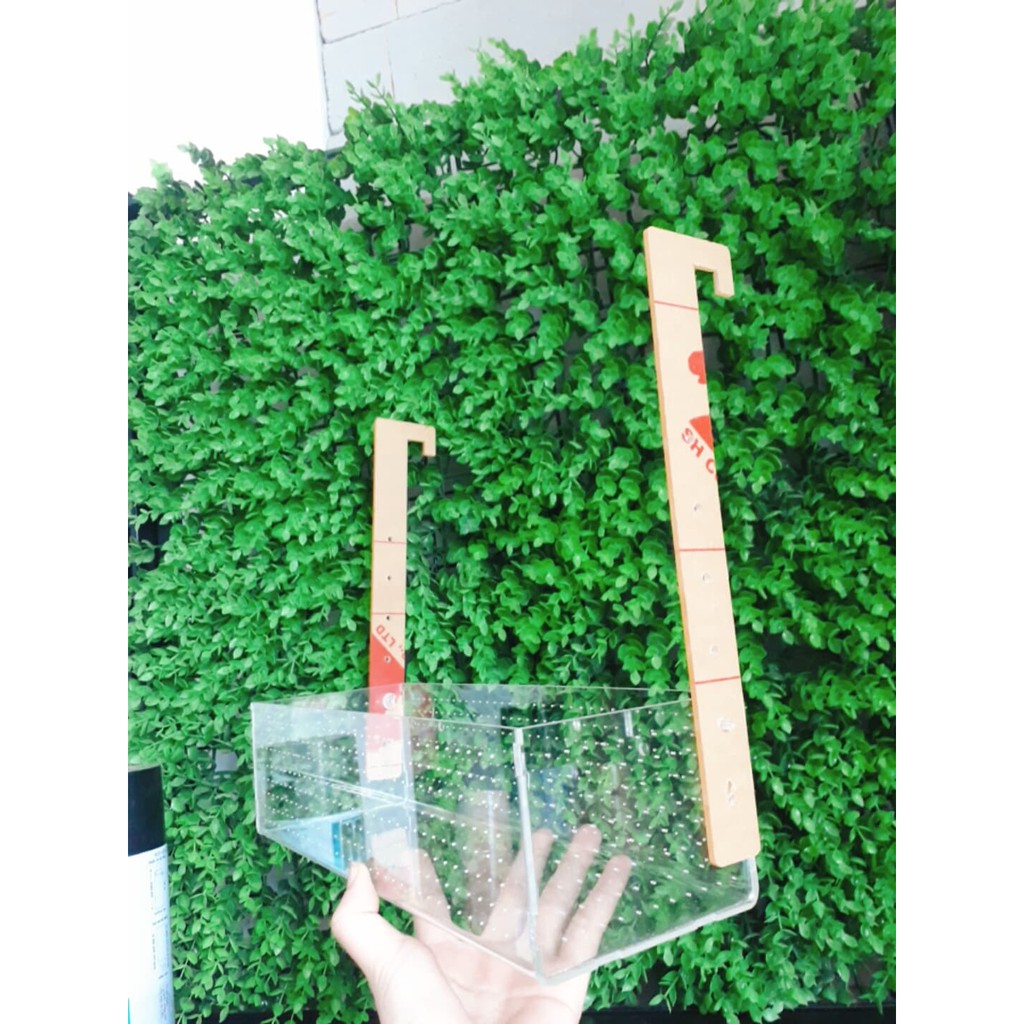 Khay đựng phân nền acrylic siêu trong