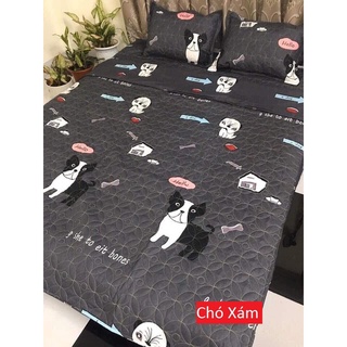 Sét Ga Goi 5 Món Cotton Poly (Chat Chọn Mẫu)