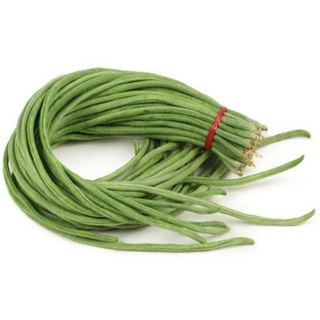 Hạt giống Đậu đũa leo dễ trồng