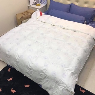 Ruột chăn lông vũ đại hàn 2019 (ảnh thật)