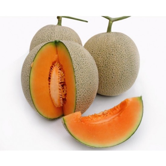 Hạt giống dưa lưới trắng ruột cam mỏng vỏ nhập thái lan nguyên gói (Cantaloupe Sweet Summer)