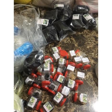 10 hộp Keo bẫy chim